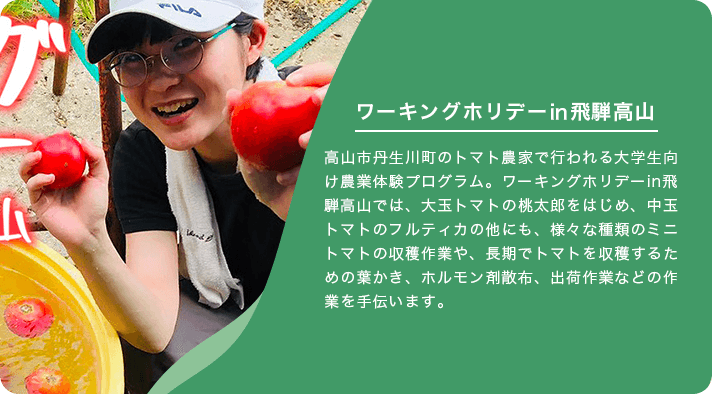 地域産業活性化支援リンク